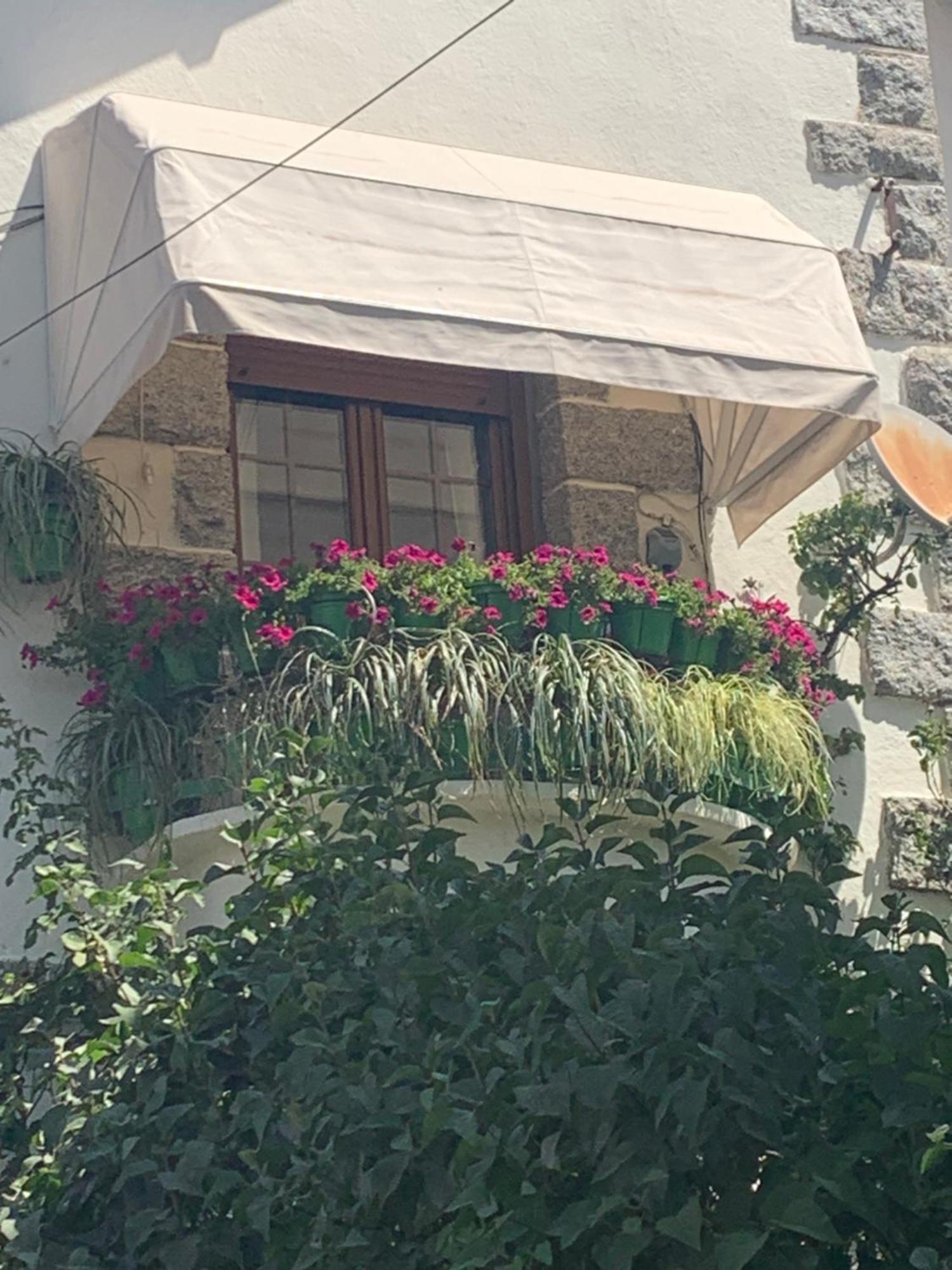 Apartament El Balcon De Araceli Cercedilla Zewnętrze zdjęcie